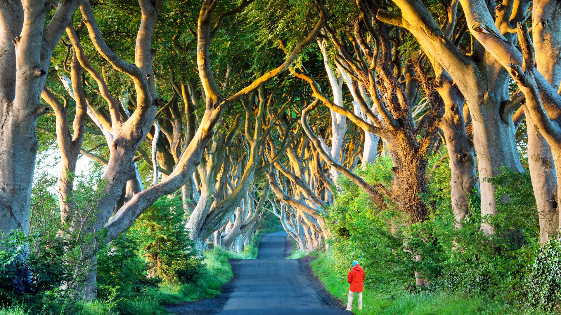 Behind The Scenes Of Games Of Thrones Territory